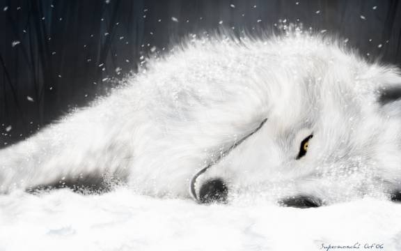 [large][AnimePaper]wallpapers_Wolfs-Rain_supermonchi(1.25)__THISRES__41759.jpg, 19 KB
