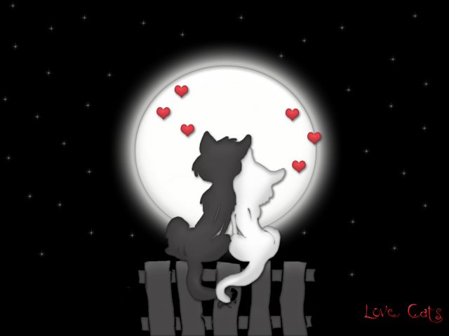 love_moon_cats1.jpg, 125 KB